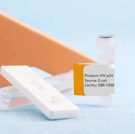 Extended Range HIV-1 p24 ELISA Kit, 96 wells